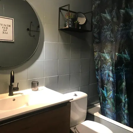 Apartment Con Encanto Y Terraza En Barri Vell De Girona, El Cul De La Lleona *
