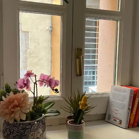 Apartment Con Encanto Y Terraza En Barri Vell De Girona, El Cul De La Lleona *
