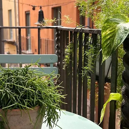 Apartment Con Encanto Y Terraza En Barri Vell De Girona, El Cul De La Lleona Girona