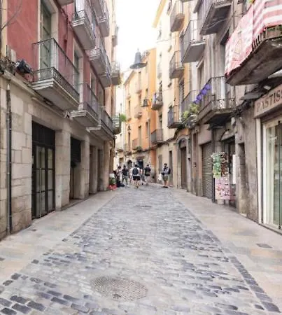 Apartment Con Encanto Y Terraza En Barri Vell De Girona, El Cul De La Lleona *